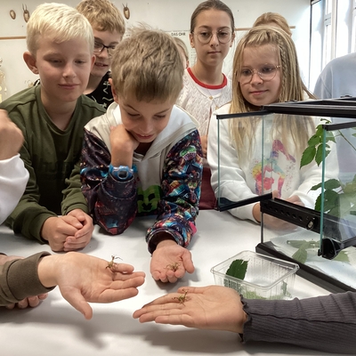 Besuch in der Zooschule im Tierpark Nordhorn